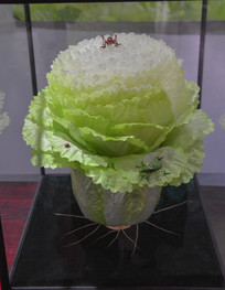 ��ͳ������֯�ײ�