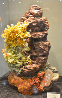 ����ʯ��̰�ѩŭ��