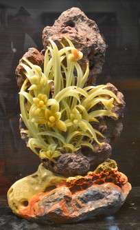 ����ʯ��̴��̴д�