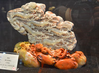 ����ʯ�������