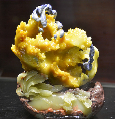 ����ʯ���������԰