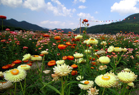 �ٻ����޵��߲ʾ�