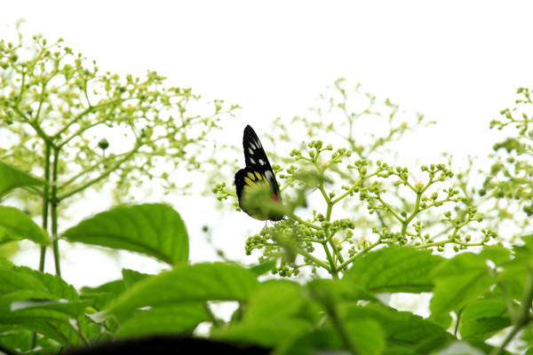 �ʵ�����