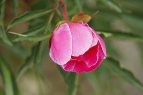 �࿪��ĵ������