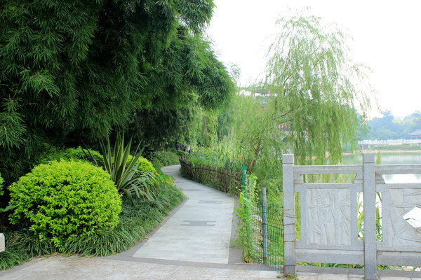 ����С��