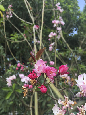 �������Ŵ�˿����