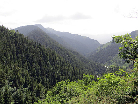 ï�ܵ�������