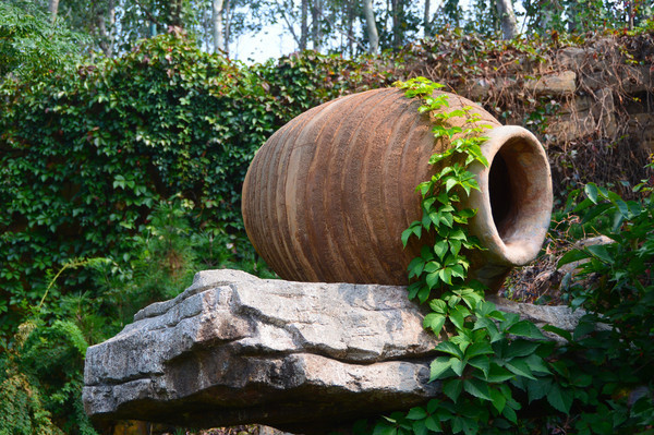 �չ�����