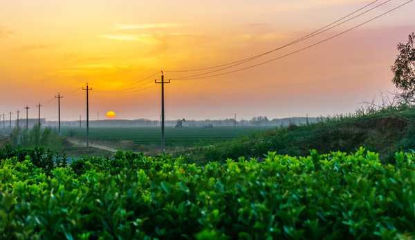 ��Ұ������