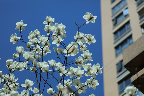 С����������