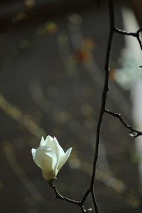 һ��������