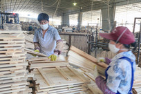 ľ����������