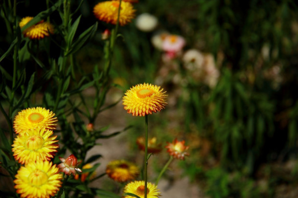 ��̬������߲ʾ�