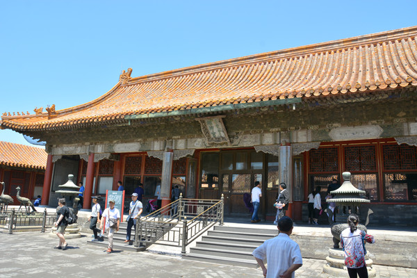 �ʹ������