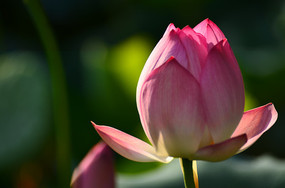 �ɻ����Ƕ�