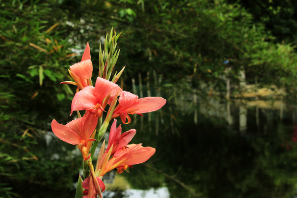 �������˽�