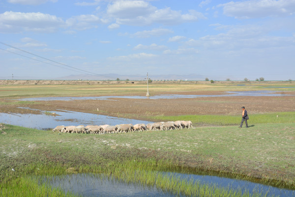 �ɹŲ�ԭ����