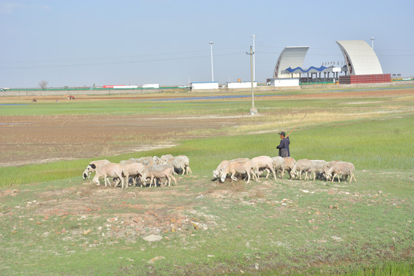 �ɹ�����