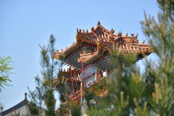 �����Ʒ���