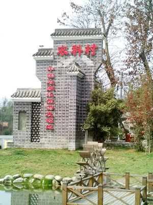 �����Ĵ�