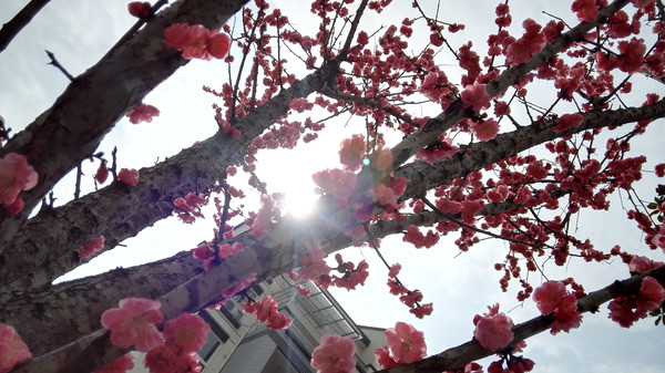 �һ��е�̫��