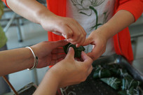 ��ʳ���ֳ�