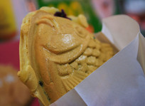 �����춹�����