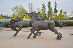 �������еĿ���