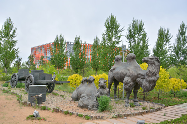 �������������