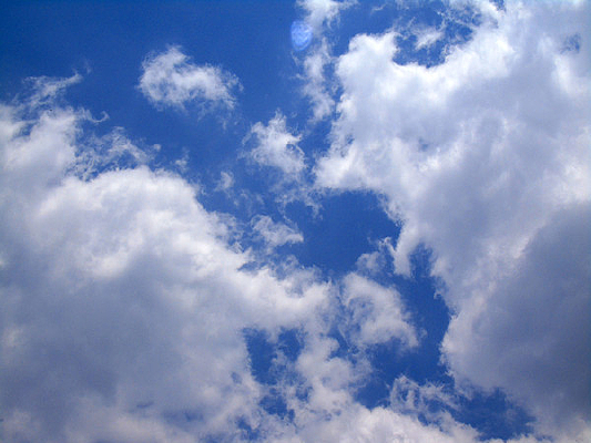 ������Ʊ���