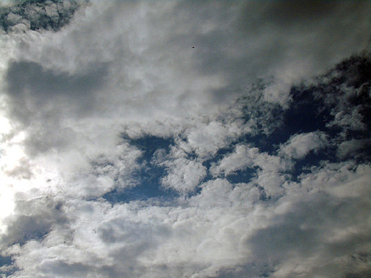 ��������հ��Ʊ���