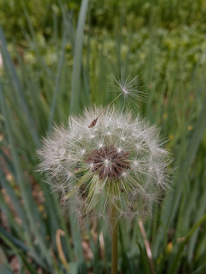 �е�����ѹ�ӢͼƬ