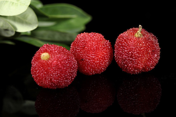 ��Ҷ����÷