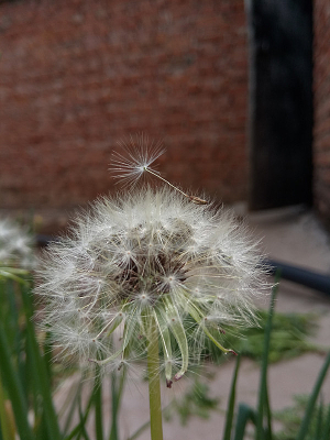 �ɰ����ѹ�ӢͼƬ