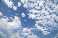 �������޻�����Ʋ�