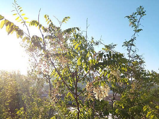 �����µĻ�����ͼƬ