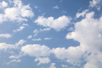 �����ƺ�