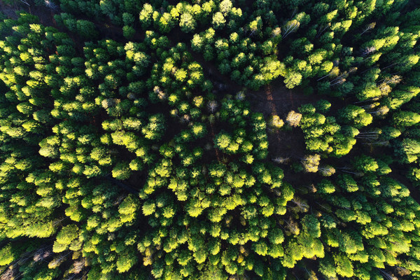 �ֺ����ַ羰���� 