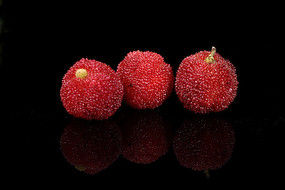 �������