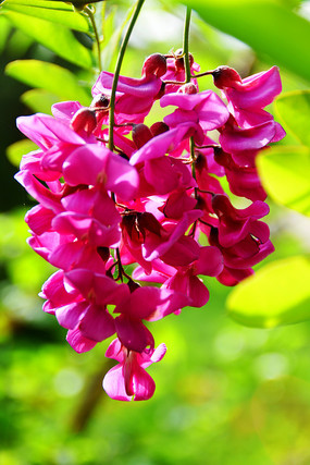 ʢ�����ϻ�