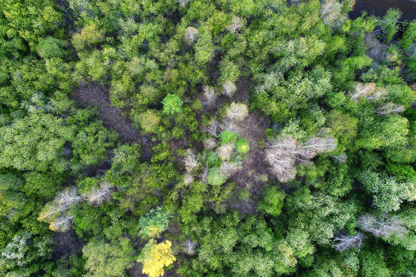 ���ַ羰���� 