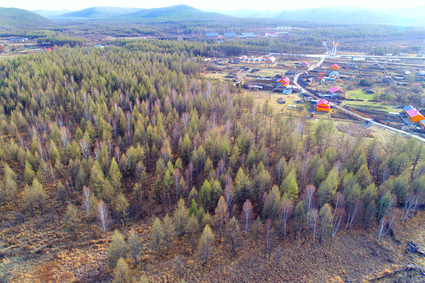 �紺���ֺʹ�ׯ���ۺ��� 