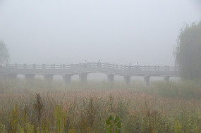 �����е�����