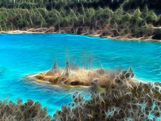 ���Ի���������