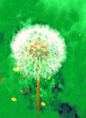 ���Ի����ѹ�Ӣ��