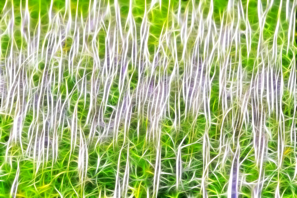 ������ͼ