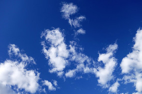 ������Ʒ羰