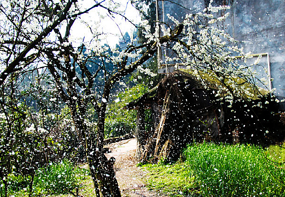 Ʈ������ӻ� 