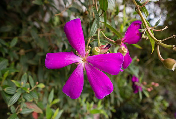 ����Ұĵ����Ӱͼ