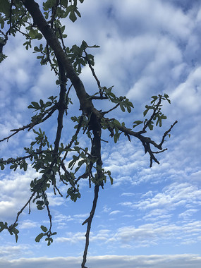 �����µ��޻�����